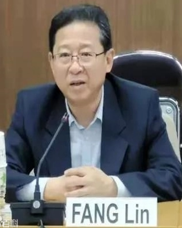 方林（国防大学教授）